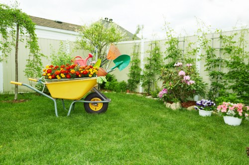 Close-up of a well-trimmed lawn after service