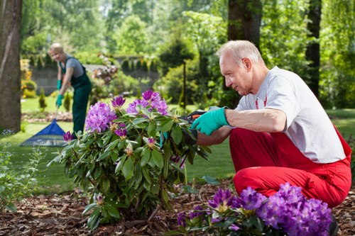 Gardener and client discussing accessible garden design