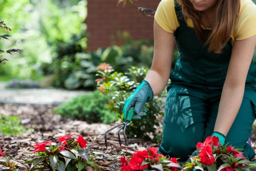 Final confirmation of secure payment for Chigwell garden services