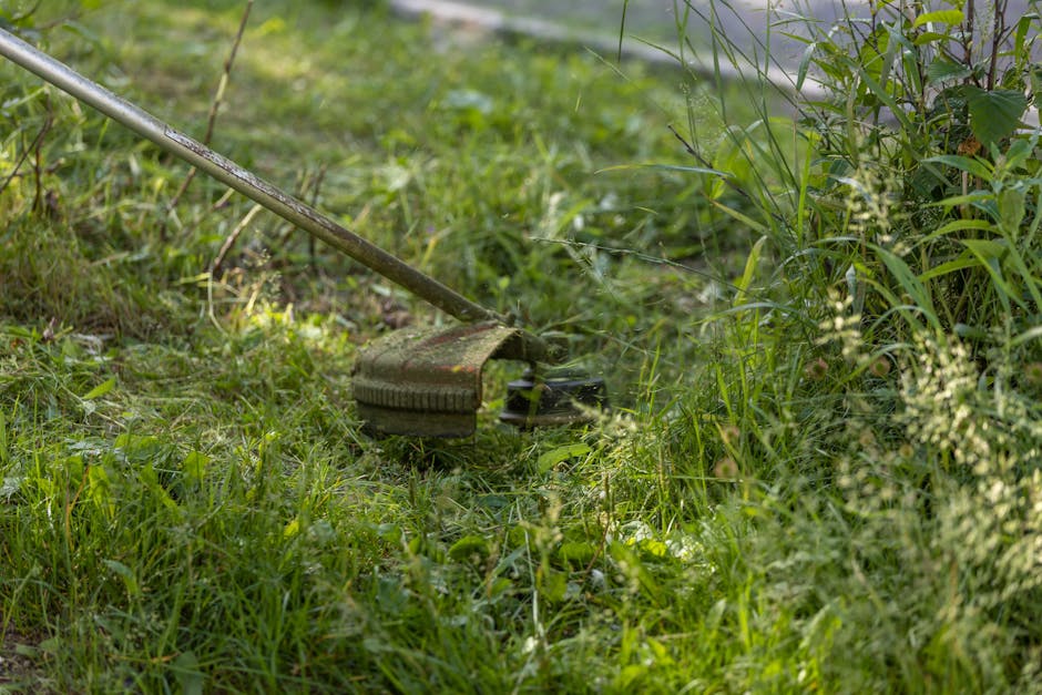A close-up view of a garden lawn being trimmed with a manual lawn mower, featuring a metal handle and a weathered, slightly rusted body, amidst lush green grass and dense, leafy plant borders. The gra