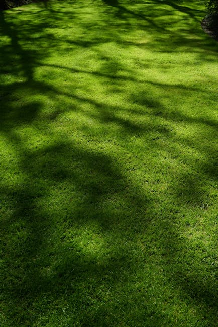 A close-up view of a garden lawn being trimmed with a manual lawn mower, featuring a metal handle and a weathered, slightly rusted body, amidst lush green grass and dense, leafy plant borders. The gra